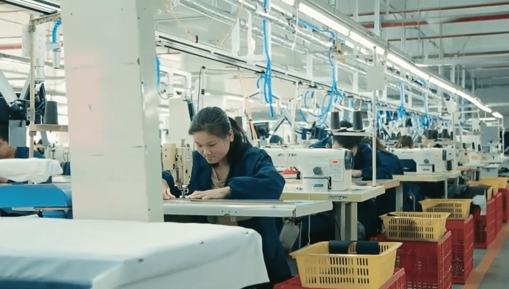 Producenci odzieży z konopi