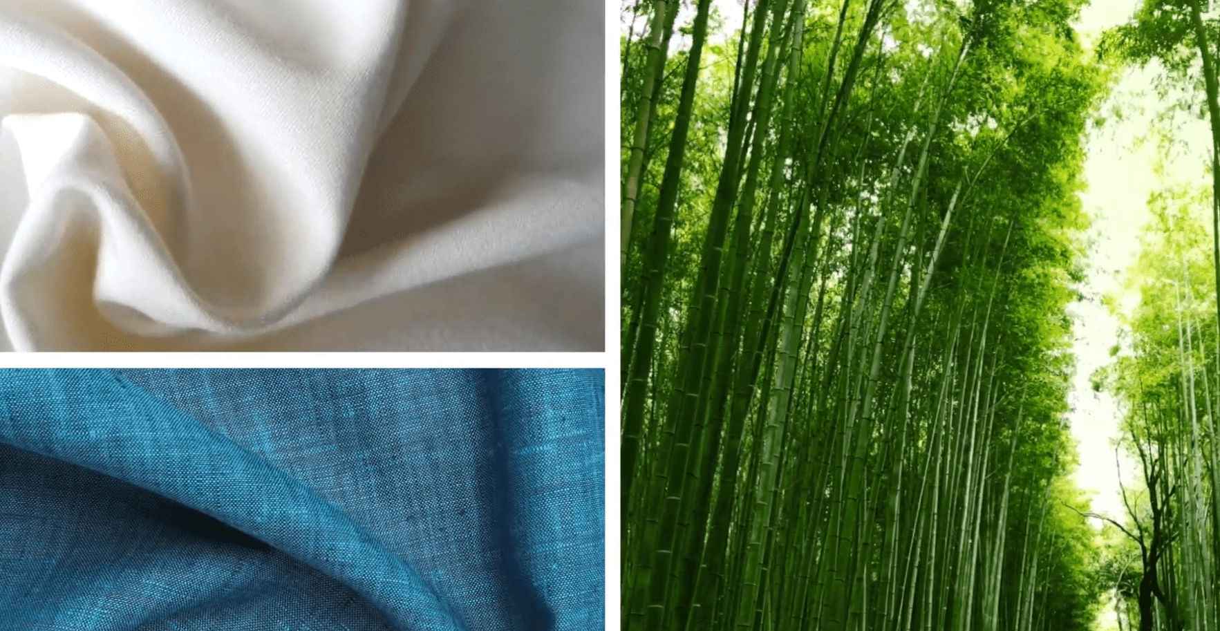 Révolution de la mode écologique : à la découverte du monde des fabricants de mode écologique 12 Fabricants de mode respectueuse de l'environnement